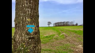 Le Sentier des 3 Abbayes en Brocéliande [upl. by Acinoev]