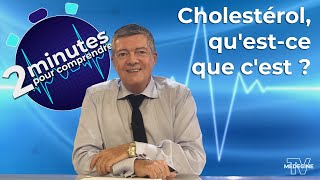 Cholestérol questce que cest   2 minutes pour comprendre [upl. by Ueihttam]