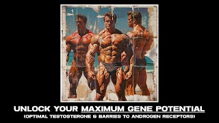 Optimal masculine gene expression Get the most out of your DNA heritage [upl. by Larry956]