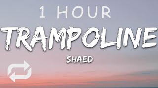 1 HOUR 🕐  SHAED  Trampoline Lyrics [upl. by Nylde]