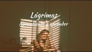 Carla Morrison  Lagrimas letra [upl. by Rebmetpes]