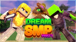 Dream SMP The Complete Story  Part 1 [upl. by Ecnahs]