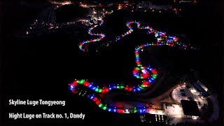 Koreas most thrilling new experience  Night Luge in Tongyeong [upl. by Nwahsem]