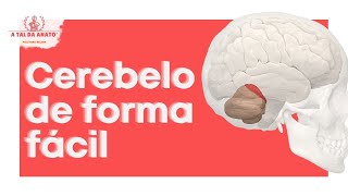 Anatomia do CEREBELO e SÍNDROMES CEREBELARES [upl. by Nadeen229]