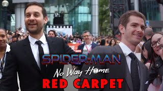 Spider Man No Way Home Tobey Maguire amp Andrew Garfield Red Carpet [upl. by Moria]