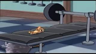 Tom and jerry Film cartoon af somali [upl. by Guendolen]