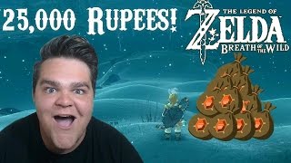 THE BEST WAY TO GET RUPEES 25000 RUPEES AN HOUR  Legend of Zelda Breath of the Wild Guide [upl. by Tatia728]