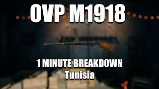 Enlisted Breakdowns  OVP M1918 BREAKDOWN everything you need to know in LESS THAN 1 MINUTE [upl. by Elyag999]