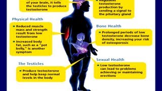 All You Need to Know About Testosterone From an Author and Long Term User [upl. by Socem493]