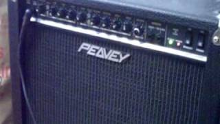 Peavey Prowler demo [upl. by Grissom]