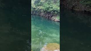 Chickasaw National Recreation Area  Camping Area waterfalls fishies campingarea hiking nature [upl. by Maleen]