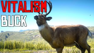 Red Dead Online Buck Vitalism Studies [upl. by Ahcsap]