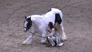 FREDERIC PIGNON amp MAGALI DELGADO live  EQUITANA  März 2023 [upl. by Nadaha]