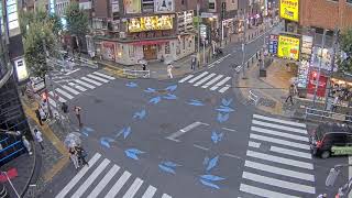 【Archive】Shinjuku Kabukicho Live Camera [upl. by Older]