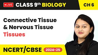 Connective Tissue and Nervous Tissue  Class 9 Biology Chapter 6  CBSE 202425 live [upl. by Esilrahc640]