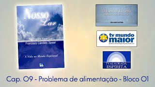 Nosso Lar  Cap 0901  Problema de Alimentação [upl. by Longawa]