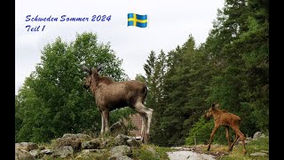 Schweden Sommer 2024  Teil 1 [upl. by Sueaddaht]