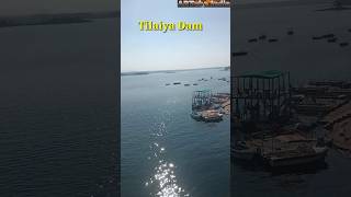 Tilaiya Dam tilaiya dam reservoir jharkhand youtubeshorts shortsvideo shorts artubeindia96 [upl. by Adoree]