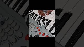 ASK FOR MORE SONGS IN COMMENTS piano phonk mashaultrafunk metamorphosis SKMUZIX [upl. by Fenton]