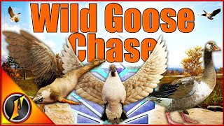 A Truly WILD Goose Chase  Diamonds Rares and More [upl. by Lanette]