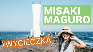 WYCIECZKA ZA 100 ZŁOTYCH z Tokio  Misaki Maguro Kippu  Półwysep Miura [upl. by Pamela211]