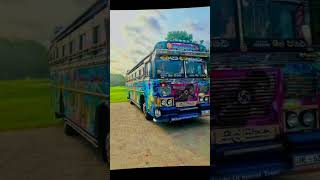 මොකද කියන්නේ කස්ටිය කටද කැමතී busmodifynewbussrilankanbus [upl. by Oralee277]