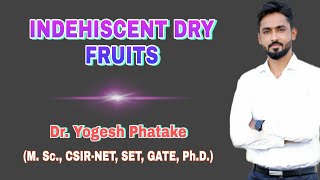 Indehiscent Dry Fruits  Flowering Plants  Explained by Dr Yogesh [upl. by Enineg]