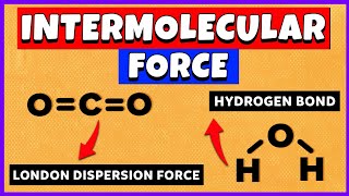 Factors Affecting the London Dispersion Forces  Chemistry Class 11 Chapter 4  Liquids And Solids [upl. by Atiuqad]