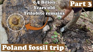 Cambrian trilobites forest  Part 3 [upl. by Akeenat667]