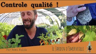 Contrôler la qualité de vos plantes [upl. by Alitta]