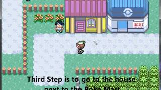 How to get the Coin Case in Pokemon Emerald [upl. by Asserak]