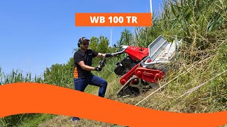 Trinciatutto WB 100 TR  OleoMac [upl. by Anelav102]