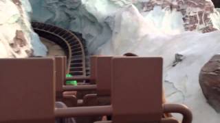 Expedition Everest Roller COASTER First Person [upl. by Aneetsirk]