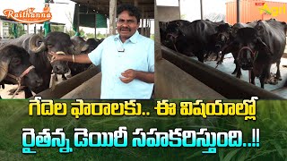 Buffalo Health and Diseases Control  రైతన్న డెయిరీ గేదె పాల ఉత్పత్తుల కొరకు 84649 50456 Tone Agri [upl. by Andras]