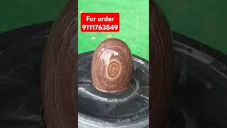 Janeudhari narmdeshwar shivling narmdeshwar shivling for Home 9111763849 [upl. by Cathe]