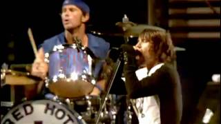 Red Hot Chili Peppers  Parallel Universe  Live at Slane Castle [upl. by Sifan]