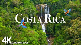 COSTA RICA 4K UHD  Exploring The Wild Side Of Costa Ricas Landscapes  4K Video ULTRA HD [upl. by Aserehc193]