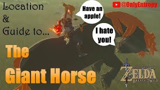 BOTW Giant Horse Location zelda botw [upl. by Jessen]