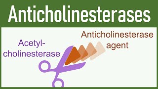 Anticholinesterase Agents Organophosphates amp Carbamates [upl. by Agace]