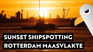 Sundowner Extrem ☀️ Shipspotting 🚢 Containerhafen Rotterdam Maasvlakte [upl. by Ulrikaumeko295]