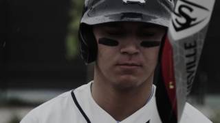 The 2017 Louisville Slugger Baseball Lineup [upl. by Nennek291]