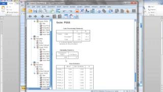 How to compute Cronbachs Alpha reliability in SPSS [upl. by Decamp29]