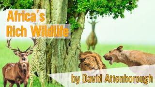 Africas Rich Wildlife by David Attenborough  World of the Wild  Wild Africa Documentaries [upl. by Debbi]