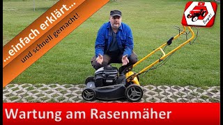 Wartung am Rasenmäher  Rasenmäher Messer schärfen und auswuchten  So lebt dein Rasenmäher länger 👍 [upl. by Htebezile]