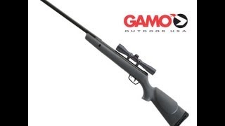 Gamo Hornet Review And Test Fire [upl. by Jacynth]