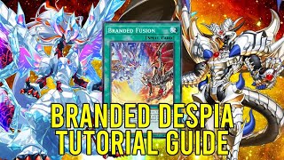 How To Play Branded Despia Tutorial Guide Combos Master Duel [upl. by Pegma]