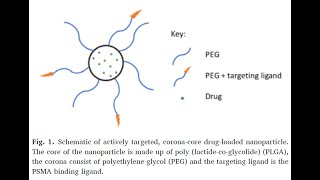 PEGPLGA and PLGANHS from PolySciTech used in development of cancer targeting nanoparticles [upl. by Adelbert430]