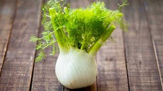 5 Incredible Health Benefits Of Fennel [upl. by Wehner]