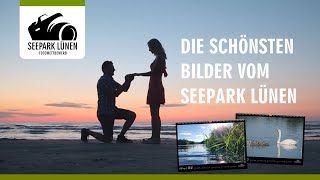 Fotowettbewerb Seepark Lünen  Die schönste Bilder werden gesucht [upl. by Pik659]