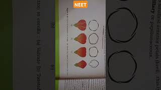 MORPHOLOGY OF FLOWERING PLANTS aestivation types corollaValvateTwisted ImbricateVexil neet [upl. by Franciscka]